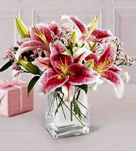 3 dal kazablanka g�rsel vazosu