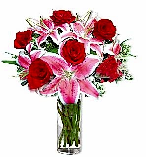 2 dal cazablanca ve 6 k�rm�z� g�l �i�e�i