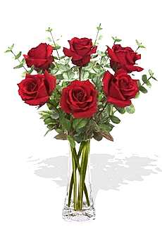 Hediye Sitesi 6 k�rm�z� g�l vazosu
