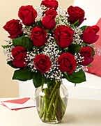 Sevgilime hediye 9 adet 1 ci kalite g�l