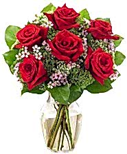 K�z arkada��ma hediye 6 k�rm�z� g�l