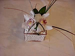 Ankara ostim �i�ek sipari�i firma �r�n�m�z iki adet kandil kesme orkide �i�e�i