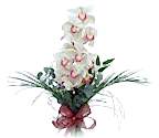 Ankara �i�ek g�nder firmas� �ahane �r�n�m�z tek dal kesme orkide �i�e�i buketi