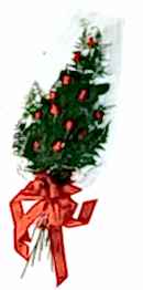 Kaliteli ve fiyat� ucuz bir �r�n g�ller ve asalet �i�e�i