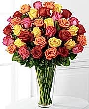 33 adet rengarenk kar���k g�ller