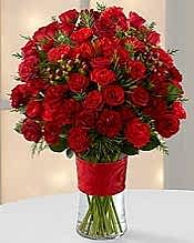 75 adet k�rm�z� g�l �i�e�i