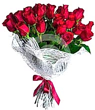 17 adet k�rm�z� g�lden g�l buketi