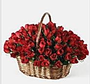 Ankara cicek , cicekci 49 adet k�rm�z� g�l �i�ek sepeti