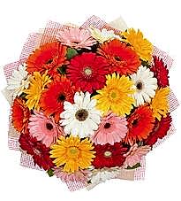 29 adet renkli gerbera buketi Ankara yurti�i ve yurtd��� �i�ek sipari�i