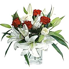 3 adet dal kazablaanka 4 adet k�rm�z� g�l