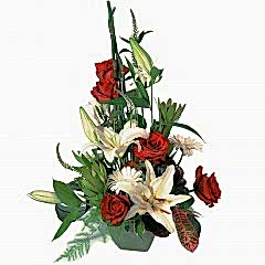 7 adet g�l 2 dal kazablanka aranjman�