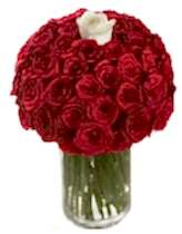 Vazo i�erisinde 50 adet k�rm�z� 1 adet beyaz g�l