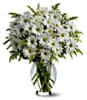 Vazo i�erisinde beyaz krizantem �i�ekleri Ankara �i�ek�i ma�azas�