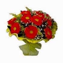 Ankara �i�ek g�nder firmas� �ahane �r�n�m�z taze ve kokulu k�r �i�ekleri demeti