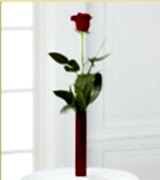 Vazo i�erisinde 1 adet k�rm�z� g�l Ankara internetten �i�ek sipari�i