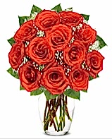 12 adet vazoda k�pk�rm�z� g�l Ankara cicek , cicekci