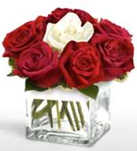 Tek a�k�ms�n �i�e�i 8 k�rm�z� 1 beyaz g�l Ankara uluslararas� �i�ek g�nderme