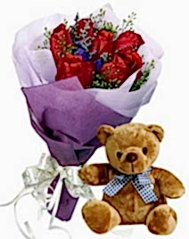 9 adet k�rm�z� g�l 15 cm boyutlar�nda ay�c�k Ankara internetten �i�ek sipari�i