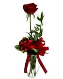 vazo i�erisinde 1 adet k�rm�z� g�l Ankara �i�ek�i telefonlar�