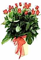 Vazoda 17 adet k�rm�z� g�l Ankara online �i�ek g�nderme sipari�