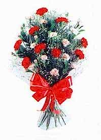 kokulu taze k�r �i�ekleri demeti Ben farkl� bir �r�n g�ndermek istiyorum diyor iseniz