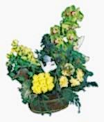 1 dal kesme orkide �i�e�i ve k�r �i�ekleri sepeti Ankara �i�ek�ilik g�rsel �r�n modeli 