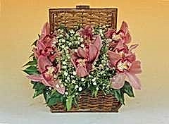 1 dal kesme orkide �i�e�i sepeti Ankara �i�ek�i d�kkan�m�zdan